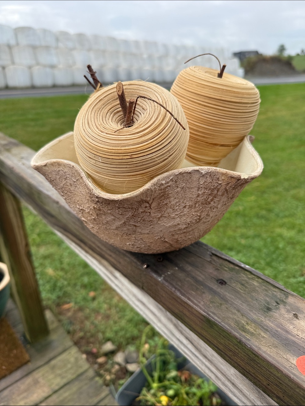 Neutral Tan Decorative Bowl with Woven Tan Accent Apples
